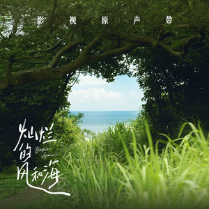 商用策划小鸡导航
