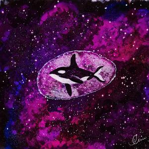 商用策划小鸡导航
