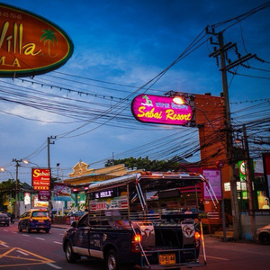 商用策划小鸡导航
