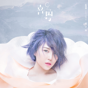 商用策划小鸡导航
