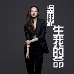 商用策划小鸡导航
