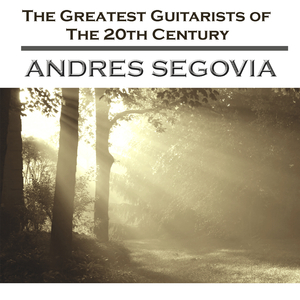 商用策划小鸡导航
