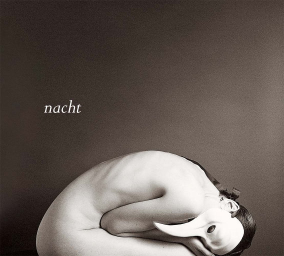 商用策划小鸡导航
